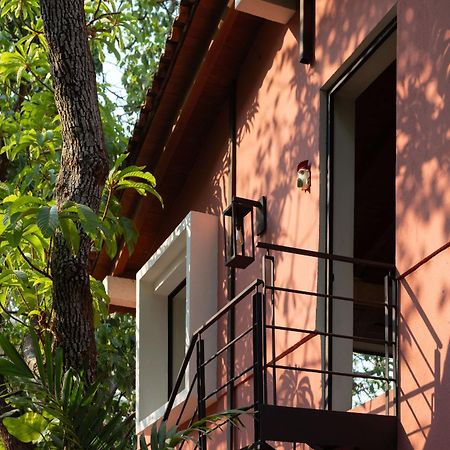 La Paranera Hotel & Relax Comala Exterior photo